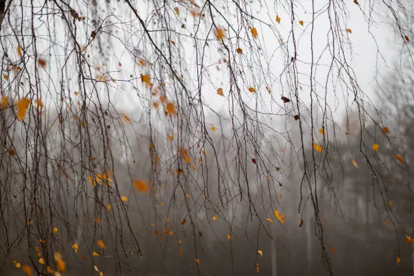 aleksandrs — Photographer