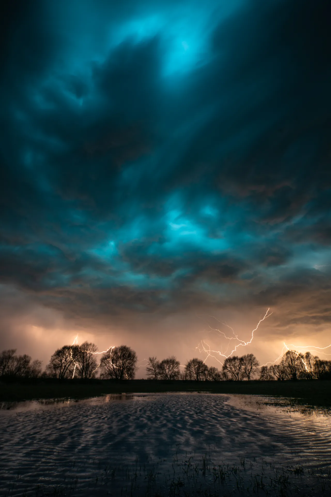 Nordic nature