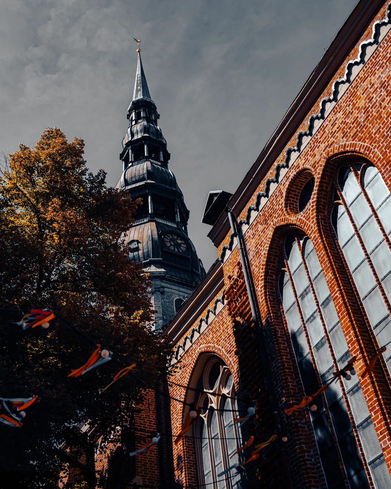 ElvijsMetrinsPhotography