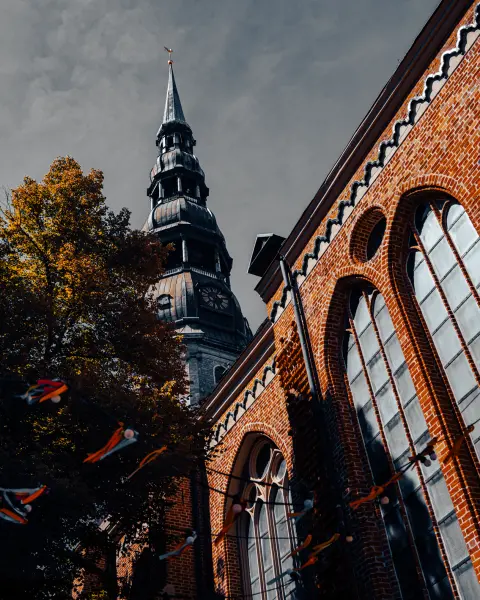 ElvijsMetrinsPhotography — Photographer, Rīga
