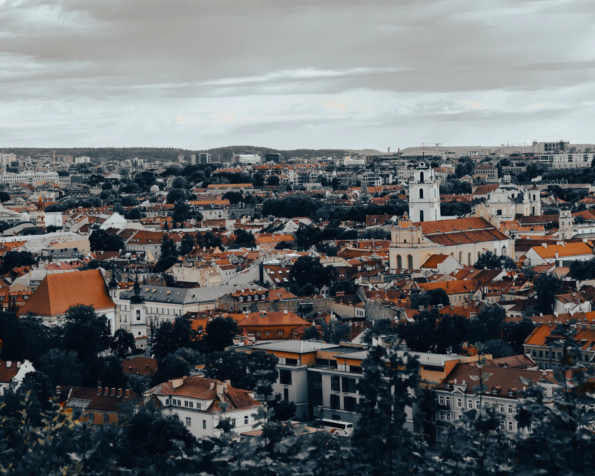 ElvijsMetrinsPhotography