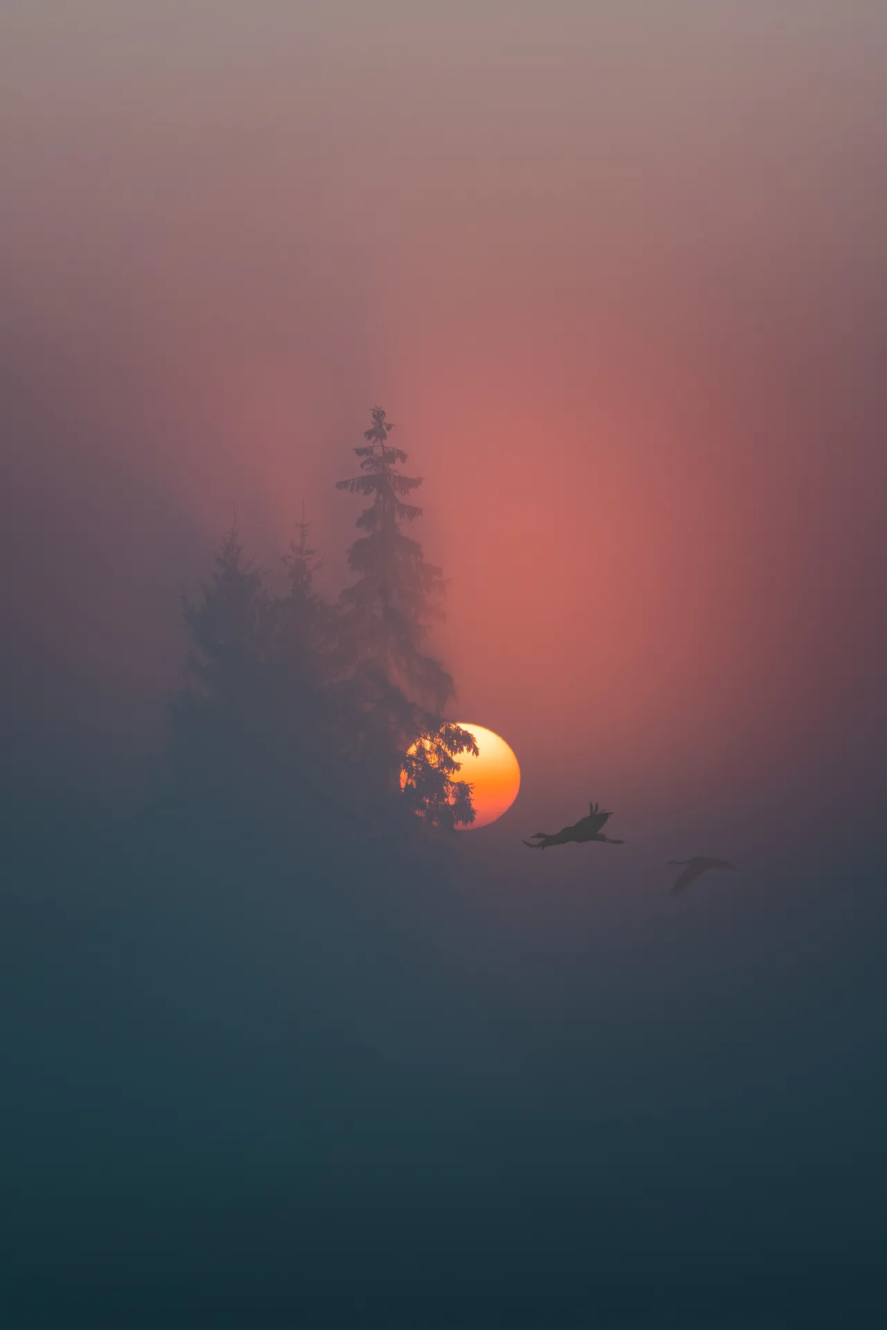 latvianphotographer