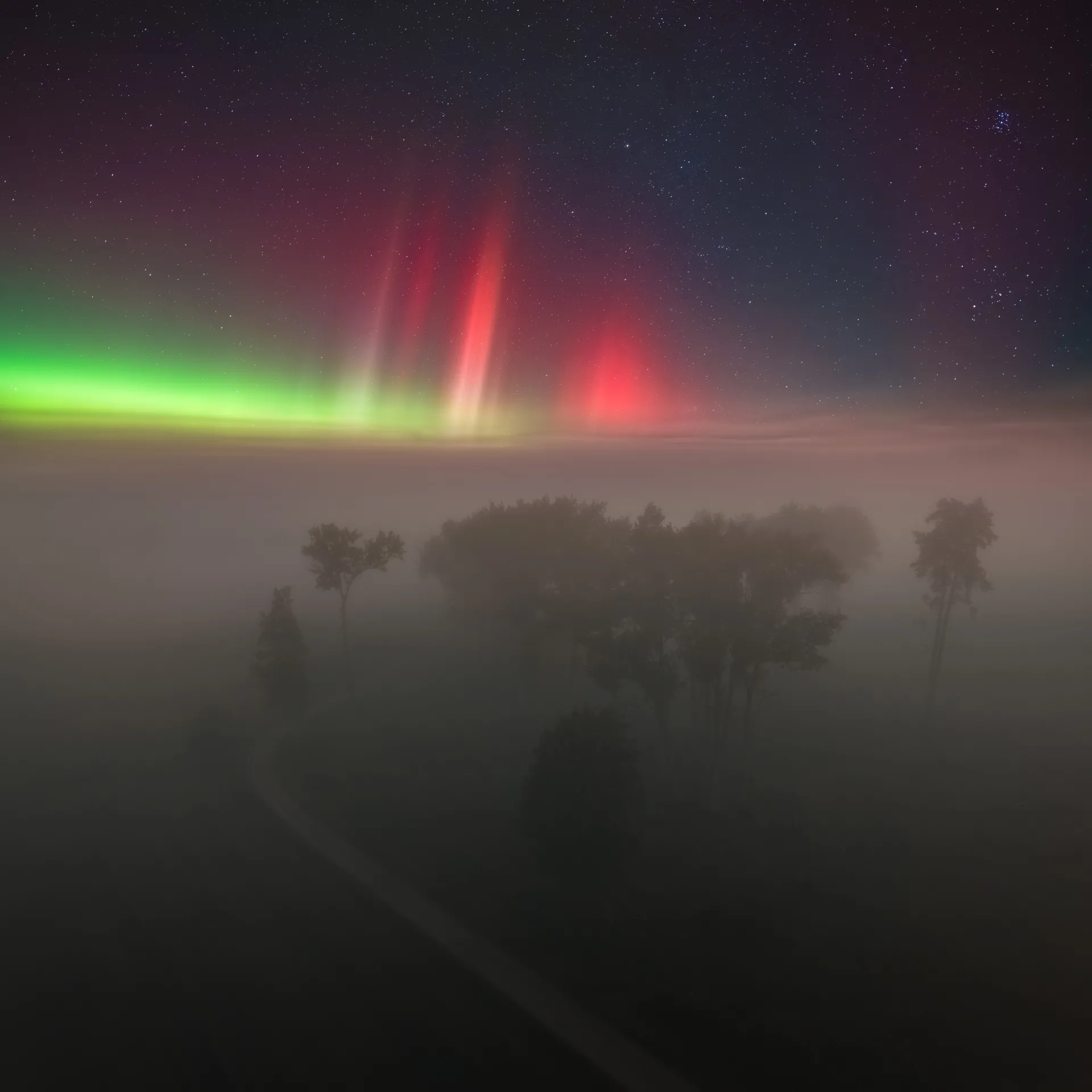 Nordic nature