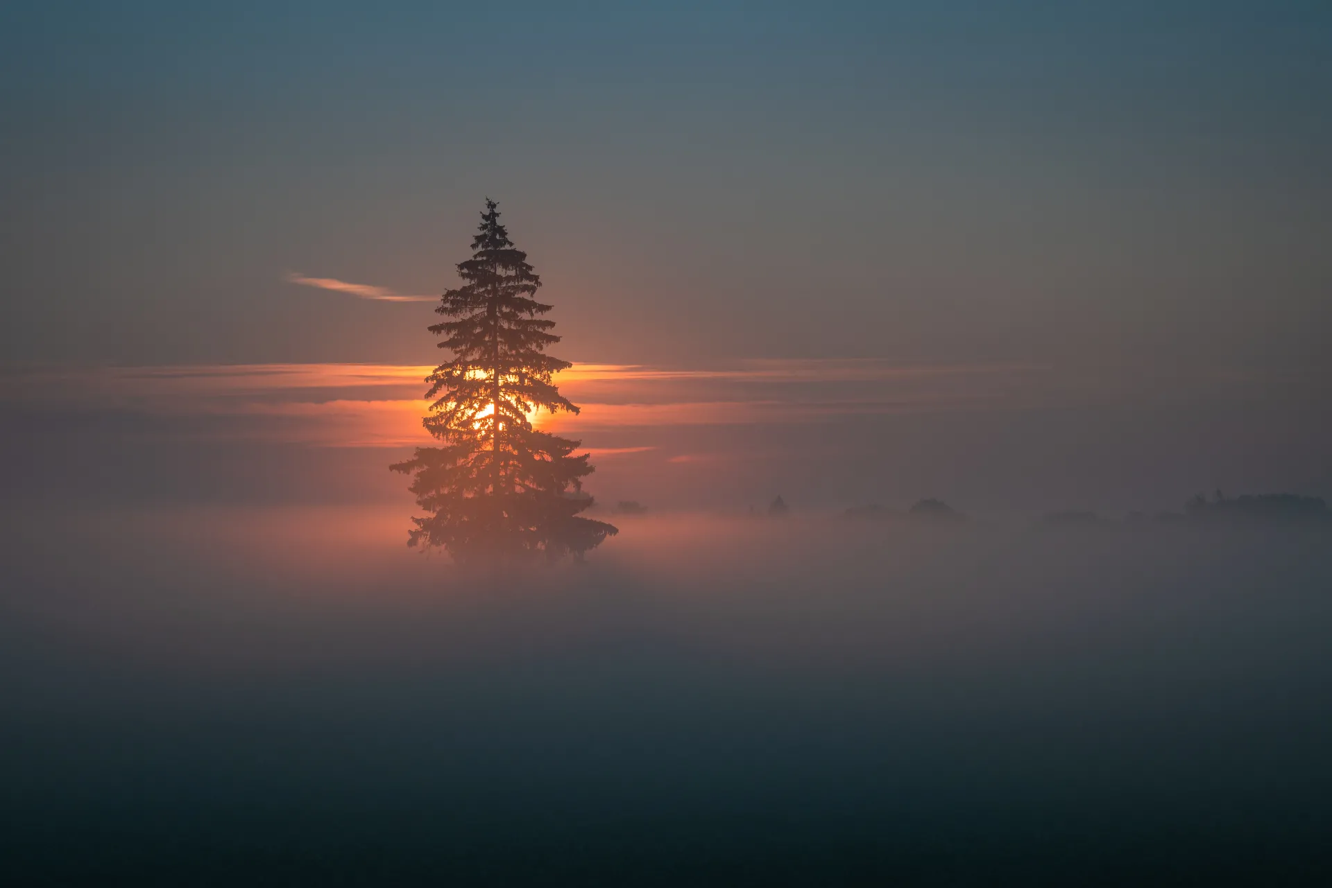 Nordic nature