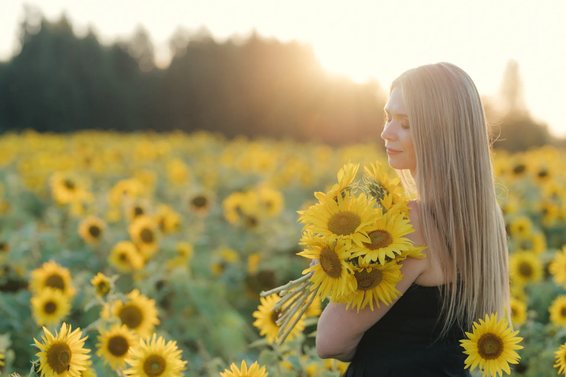 A woman with long blonde hair wearing a black top stands in a sunlit sunflower field at golden hour, eyes closed and holding a bouquet of sunflowers against her chest. The soft backlight creates a warm, dreamy portrait mood with a shallow depth of field.