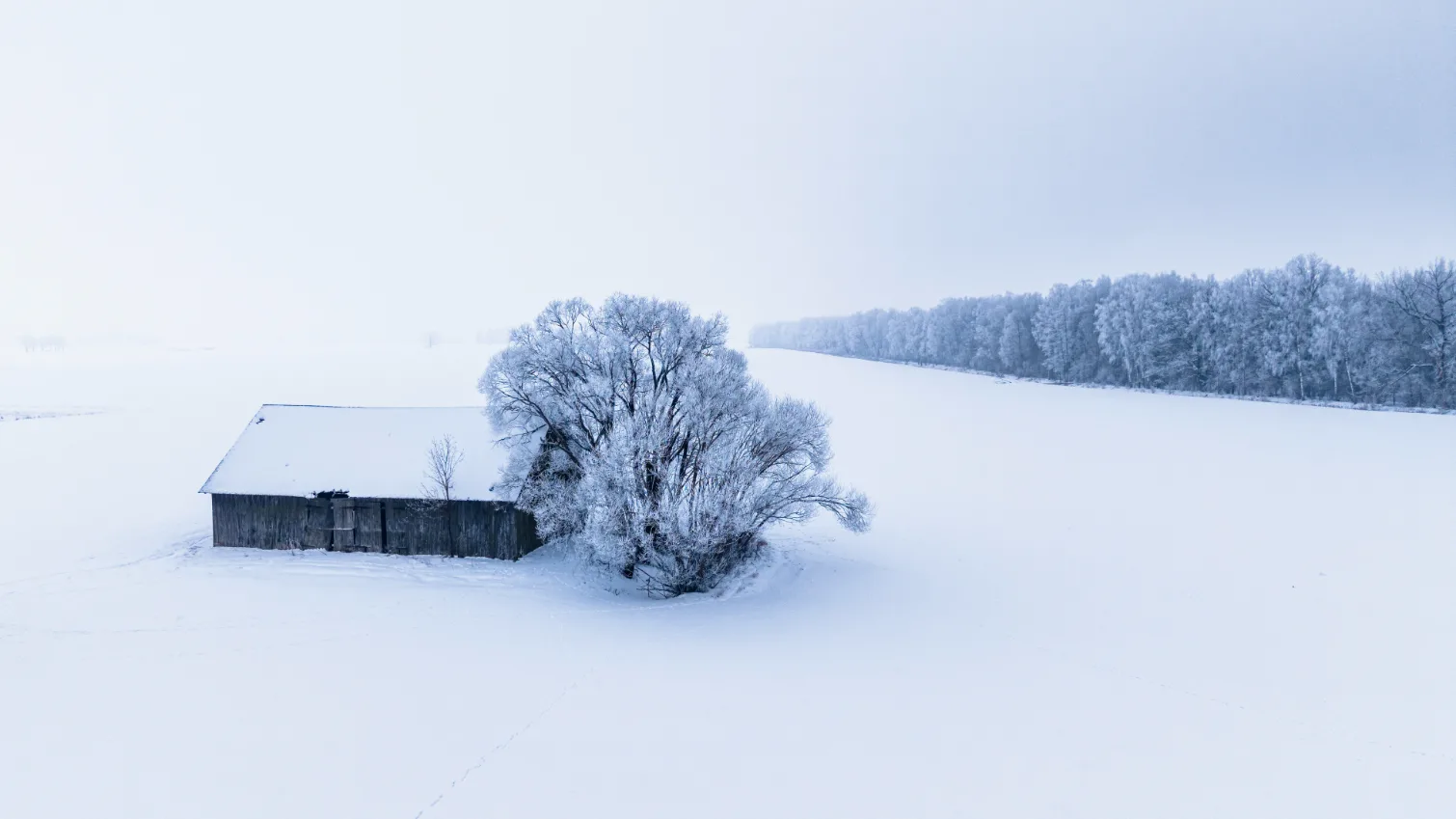 vilnisphoto