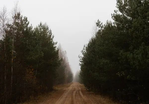 aleksandrs — Photographer