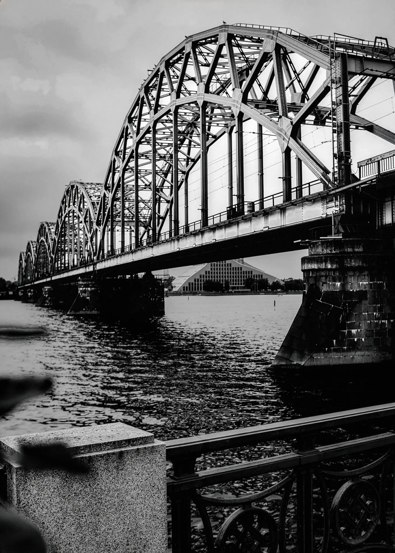 ElvijsMetrinsPhotography