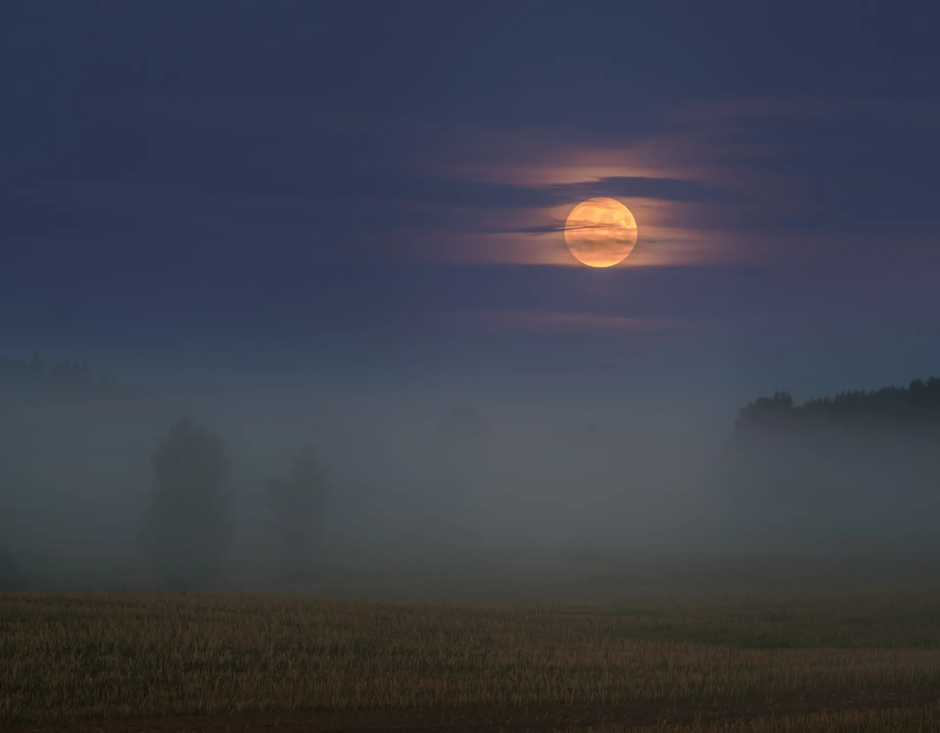 Nordic nature