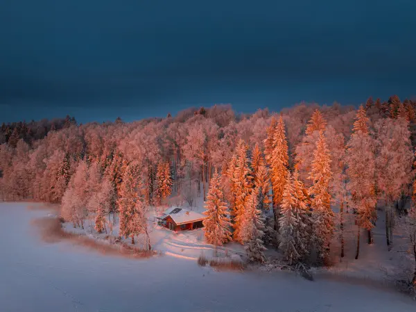 latvianphotographer — Photographer, Bauska