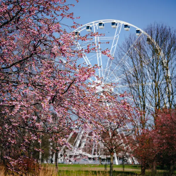 ElvijsMetrinsPhotography — Photographer, Rīga