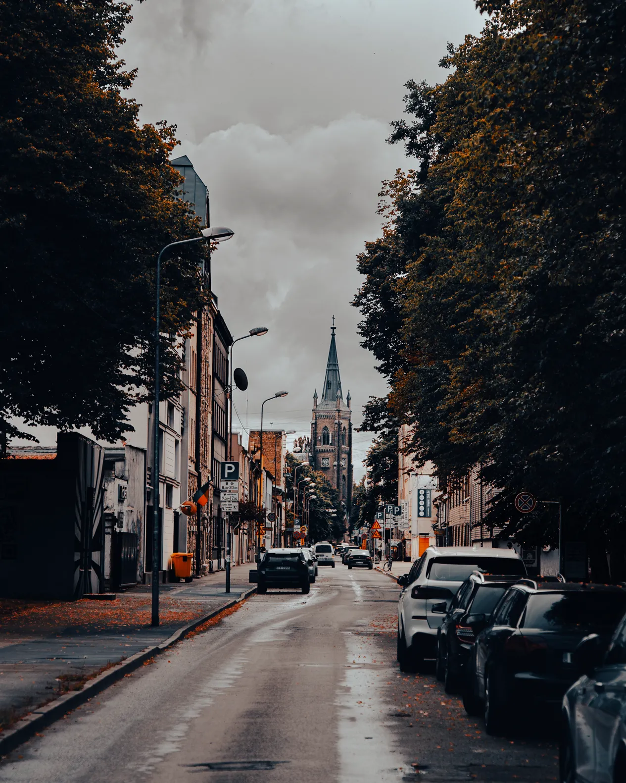 ElvijsMetrinsPhotography