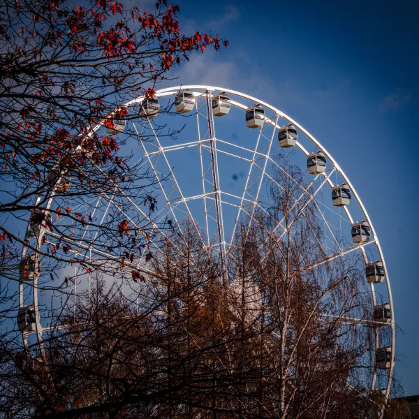 ElvijsMetrinsPhotography — Photographer, Rīga