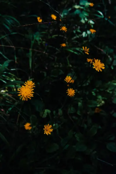 Kristaps Platačs — Photographer, Sigulda