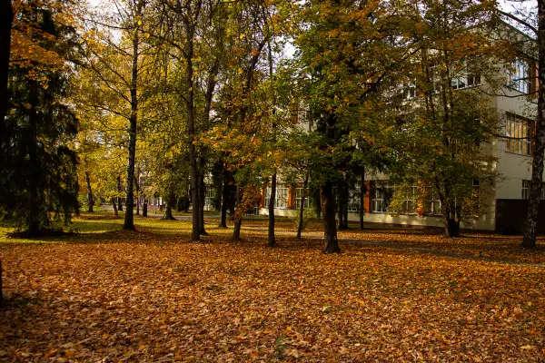 Dmitrijs Zaharovs — Photographe, Rīga
