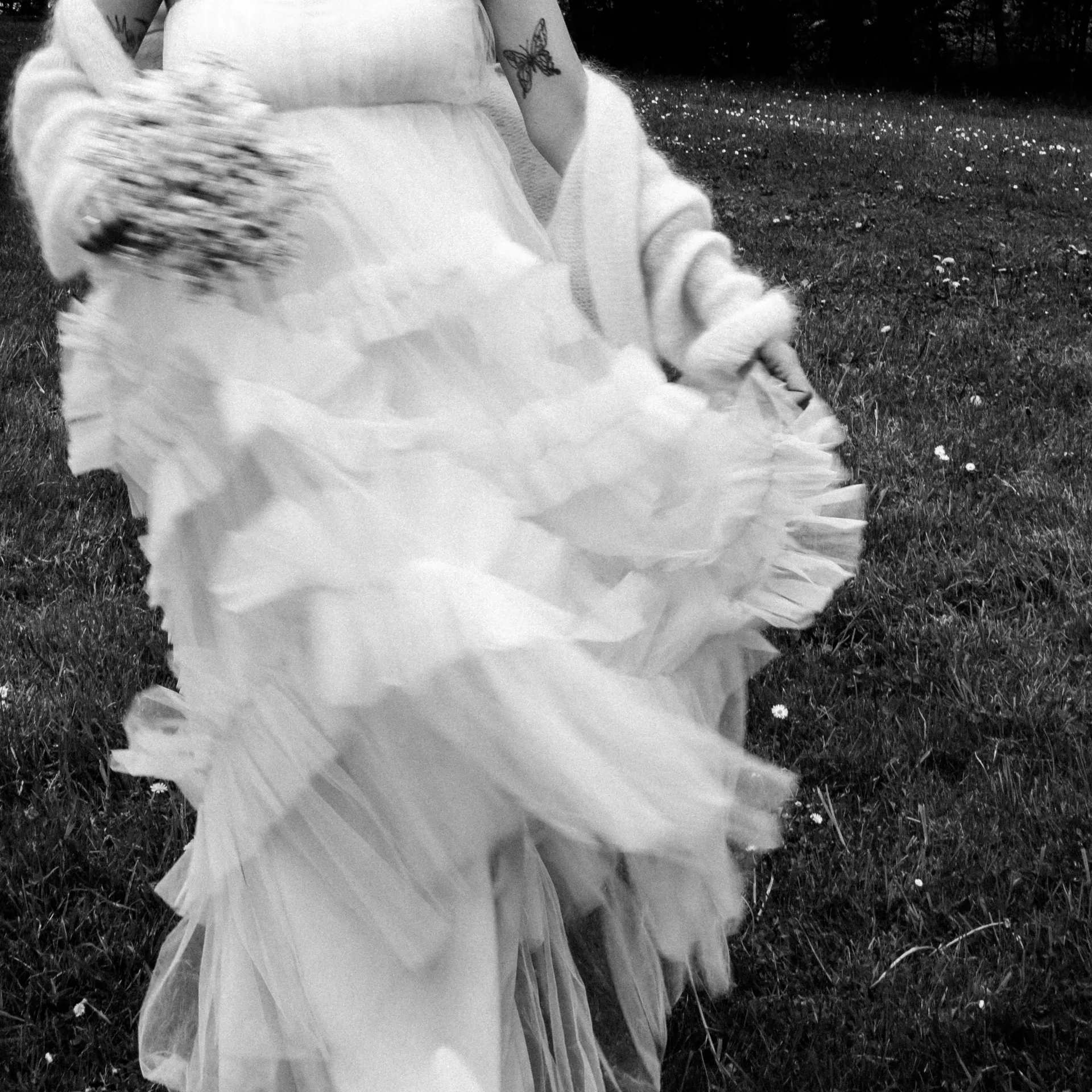 Ieva Lippe