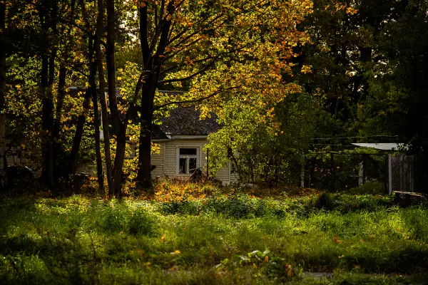 Dmitrijs Zaharovs — Photographe, Rīga